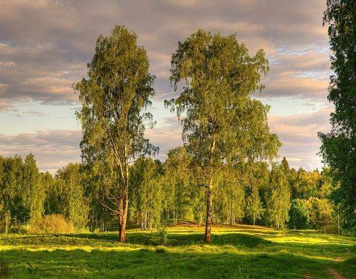 Несказанный свет