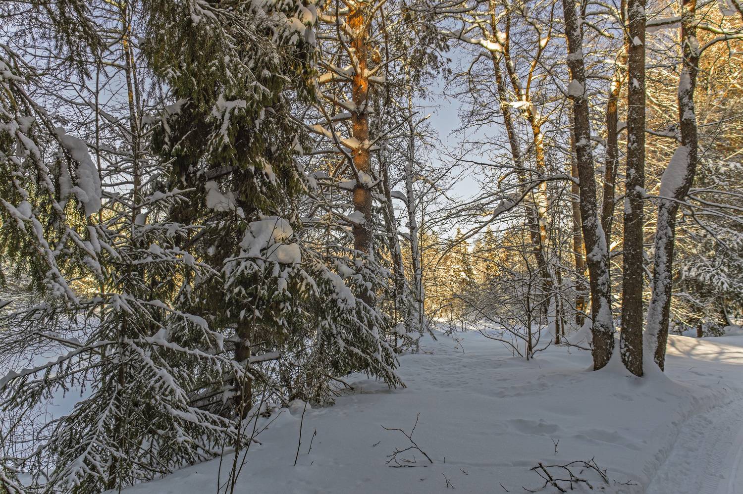 , Шитов Александр
