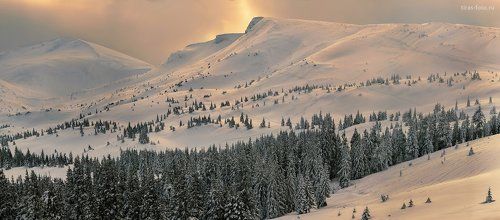 Серебро Драгобрата