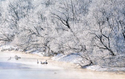 Winter Wonderland