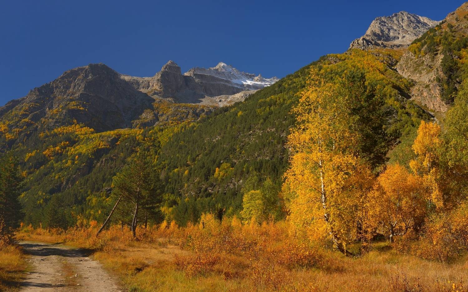 горы осень чиринкол, Александр Жарников
