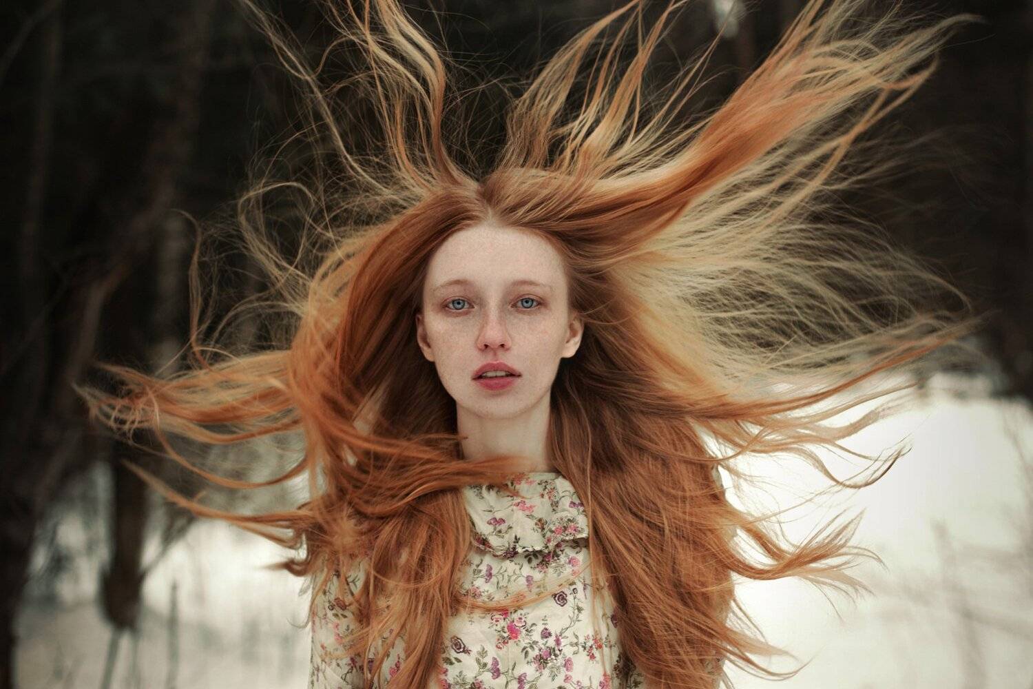 девушка портрет волосы лес сказка рыжая веснушки, Комарова Настя