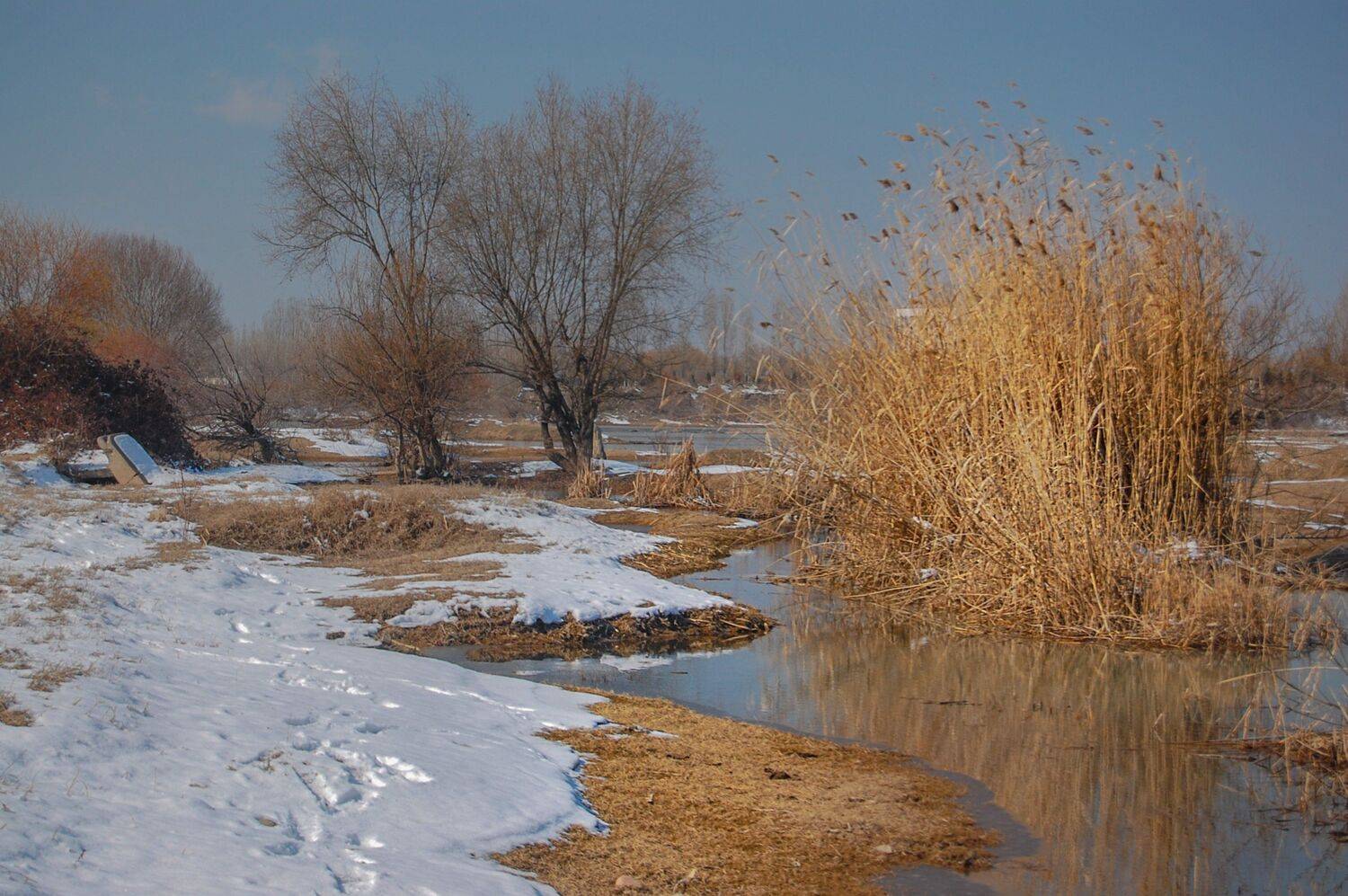 около берега чирчика . Автор: SaidArt , SaidArt