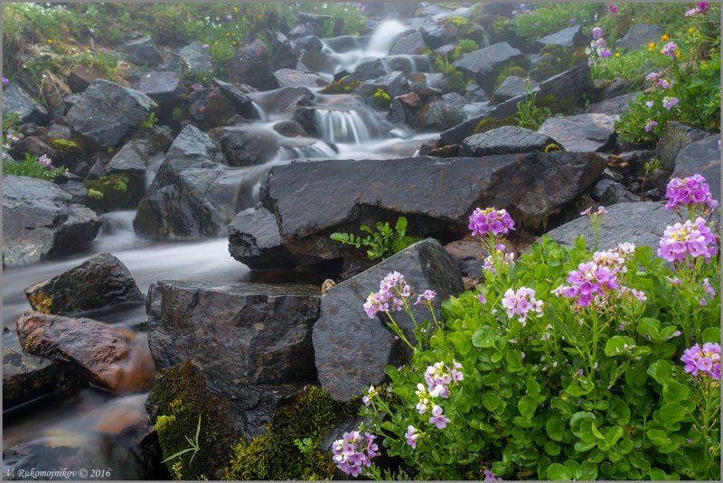 Водопад, Горы, Кавказ, Ручей, Цветы Потокphoto preview