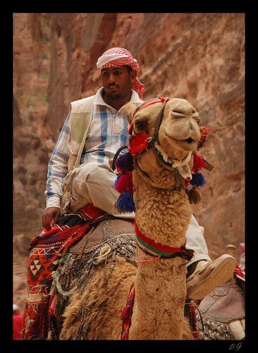 Desert taxi ...