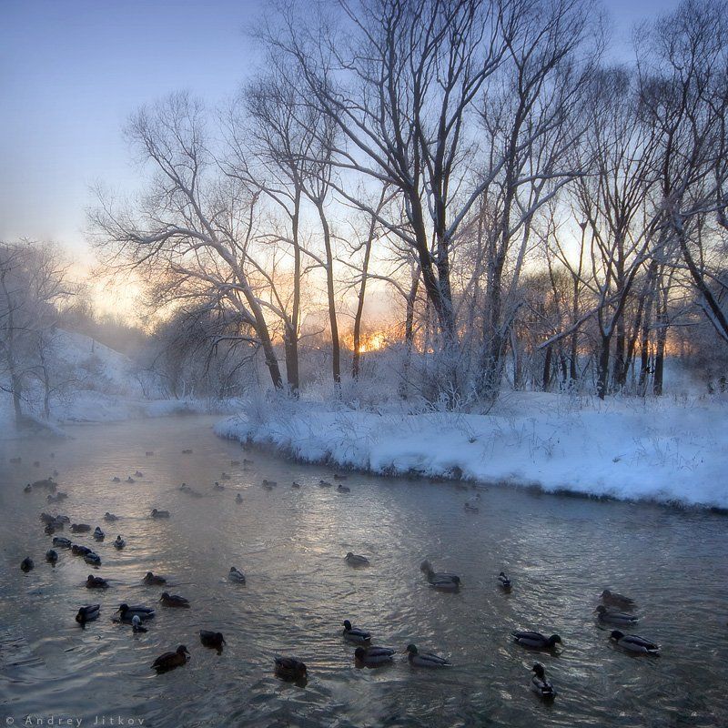 Январским вечером..photo preview