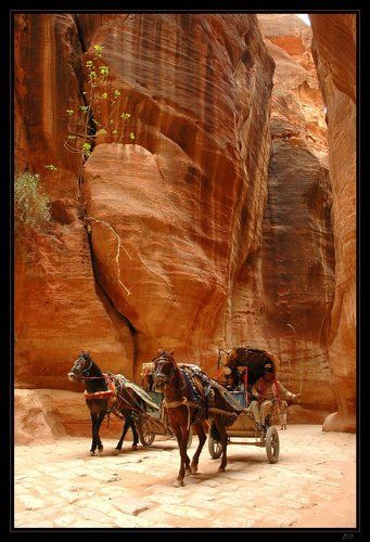 Petra's Taxi ...