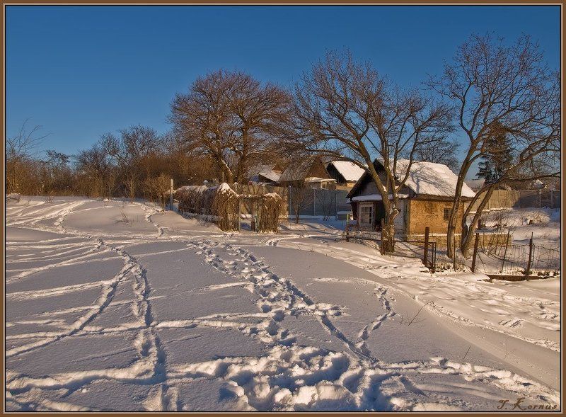 зима,запорожье,о.хортица,лес,снег,дачи Дачкиphoto preview