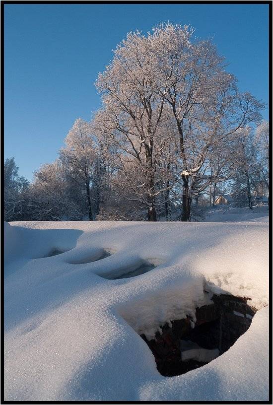 , Лунный Ежик