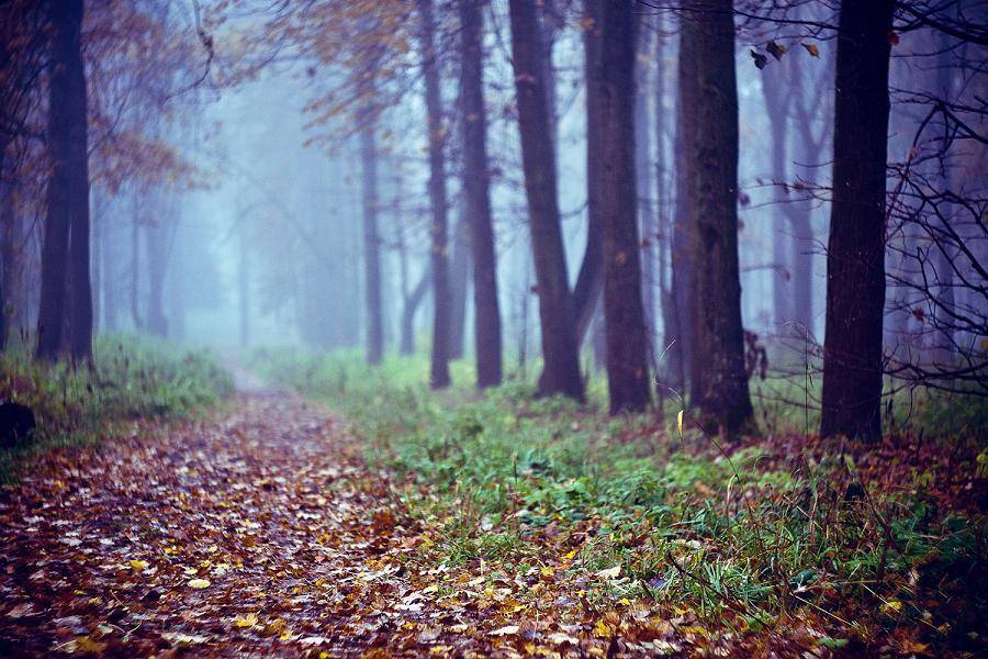 тишина. Автор: lukesky , lukesky