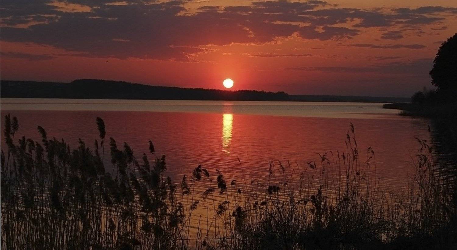 удмуртия, Данил