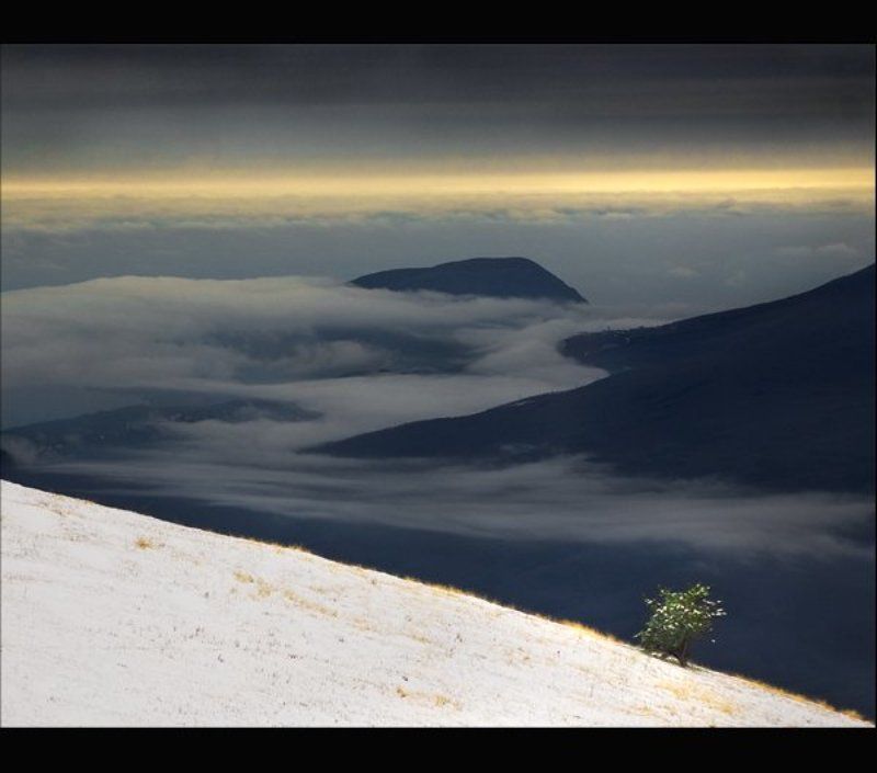 в одиночествеphoto preview