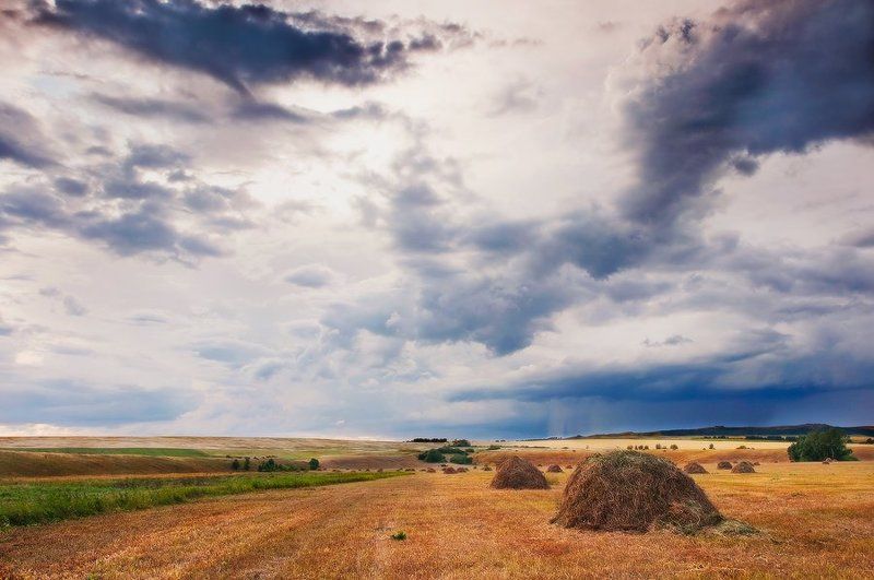 стога, сенокос, тучи, облага, гроза, непогода, лето, июль 72photo preview