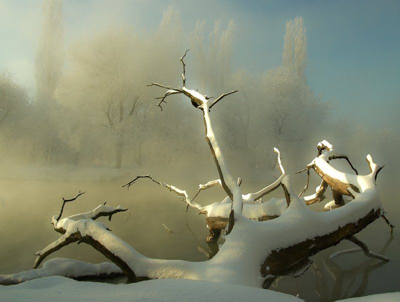 морозным утром # 2photo preview