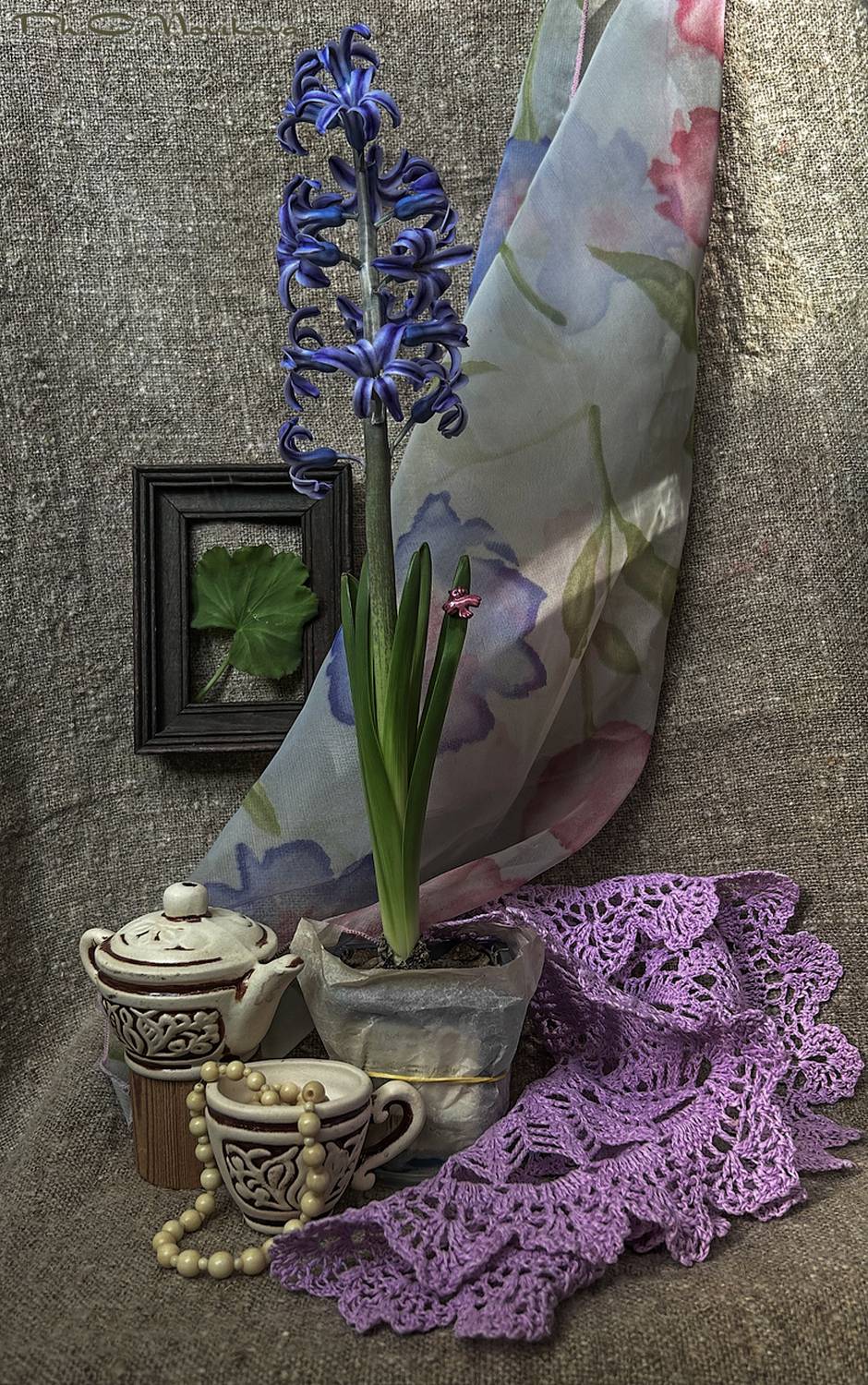 , Новикова Ольга