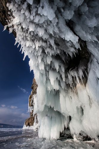 В пасти...