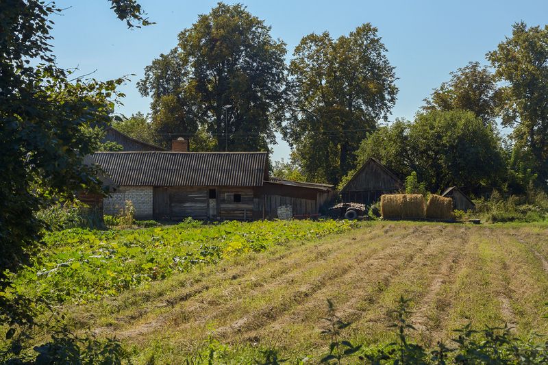 Деревенский мотив.photo preview