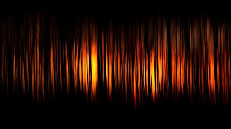 природа, арт, пейзаж Мелодия лесаphoto preview