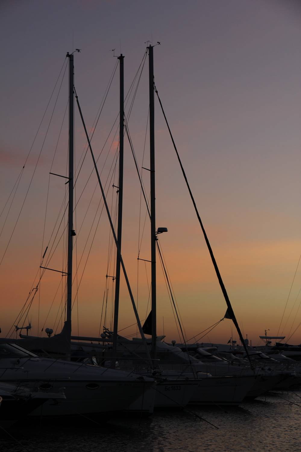 Автор: Бравичева Анастасия , Бравичева Анастасия