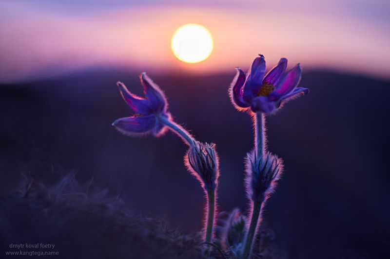 пейзажемагьё, пейзаж-как-виденье Земляне …photo preview