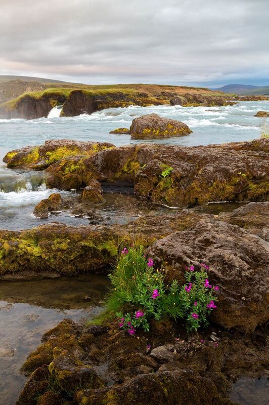 river У рекиphoto preview