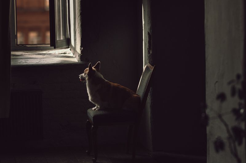 Ожиданиеphoto preview