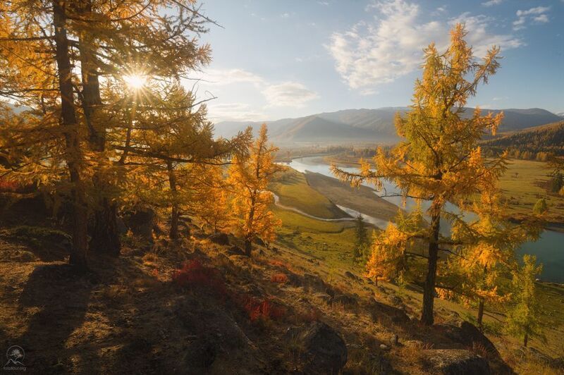 алтай, фототур на алтай, осень, горы, горный алтай, республика алтай, джазатор, беляши, аргут, осенний фототур на алтай Яркое утроphoto preview