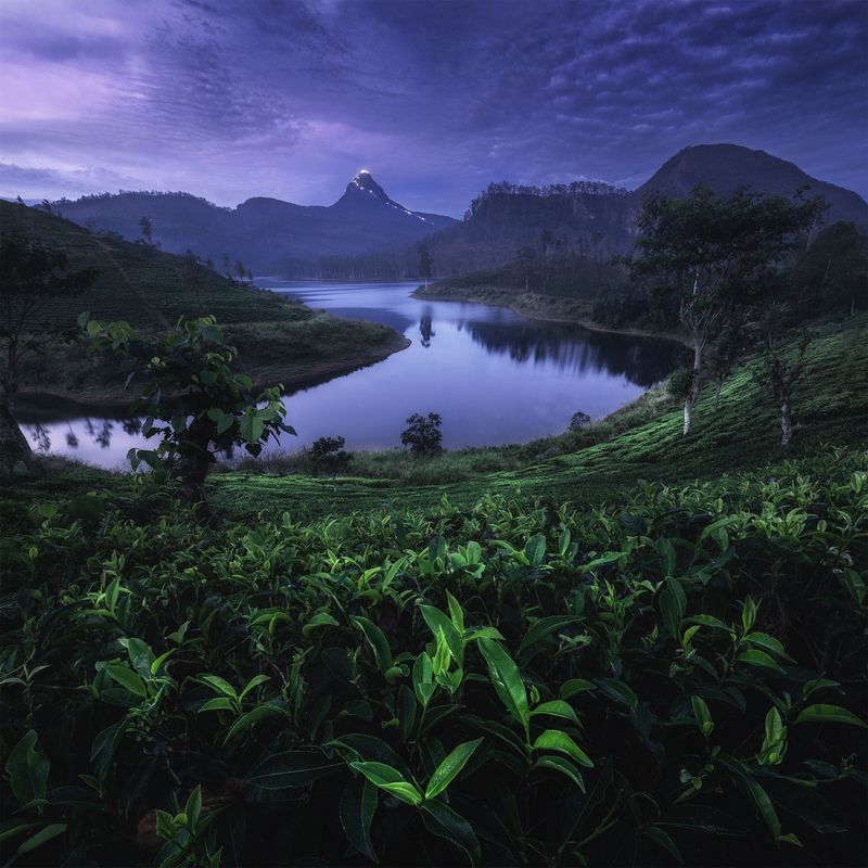 Adam\'s Peak, Sri Lankaphoto preview