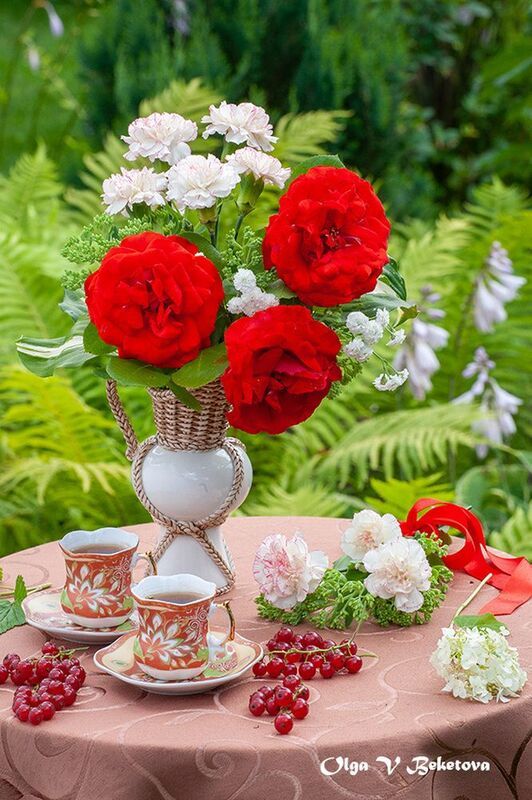 натюрморт, цветы, ягоды Розы и красная смородинаphoto preview