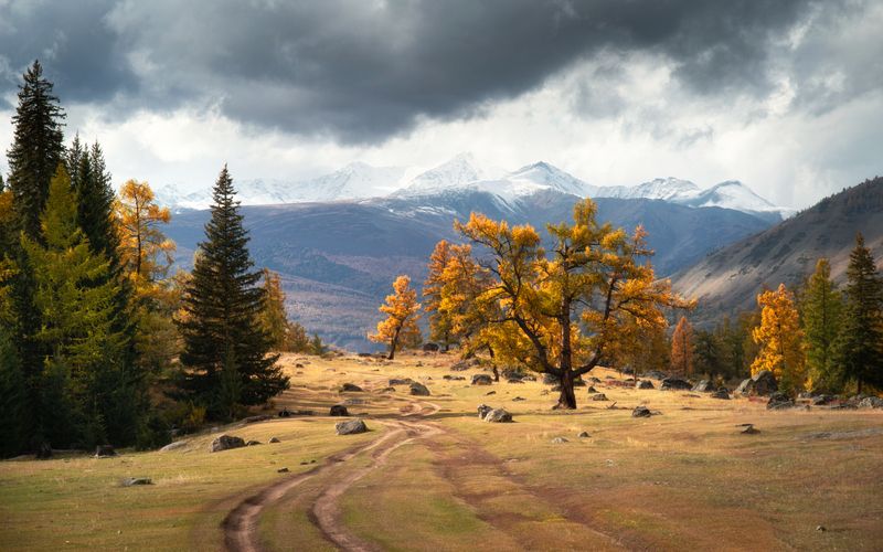 алтай, горный алтай, пейзажи алтая, кош-агачский район, золотая осень, горы, осенний алтай, горная тайга К заснеженным вершинамphoto preview