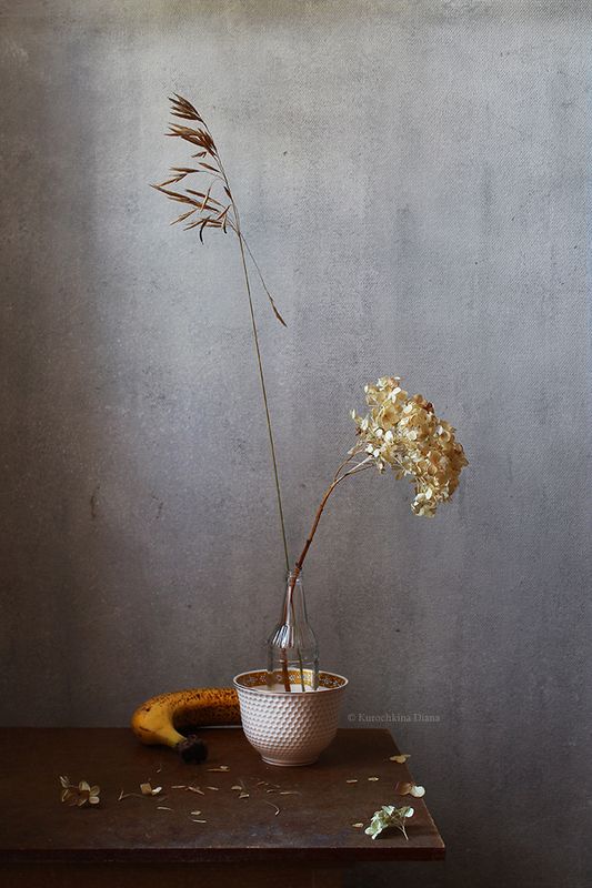 натюрморт, сухостой photo preview