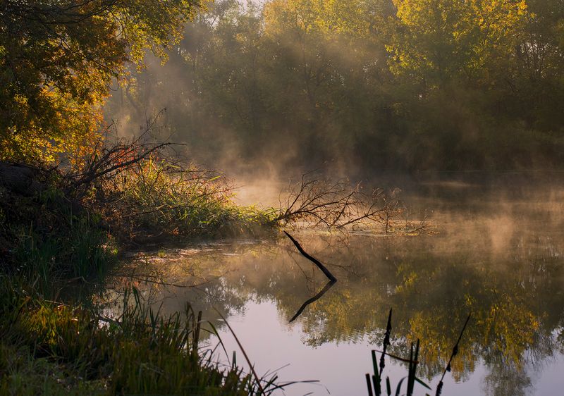 Айдарphoto preview