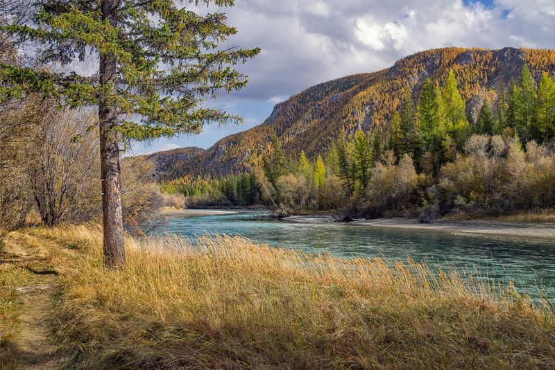 На берегу Чуи. photo preview