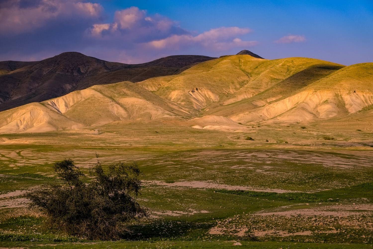 Samaria-Shomron. Автор: David Solodar , David Solodar