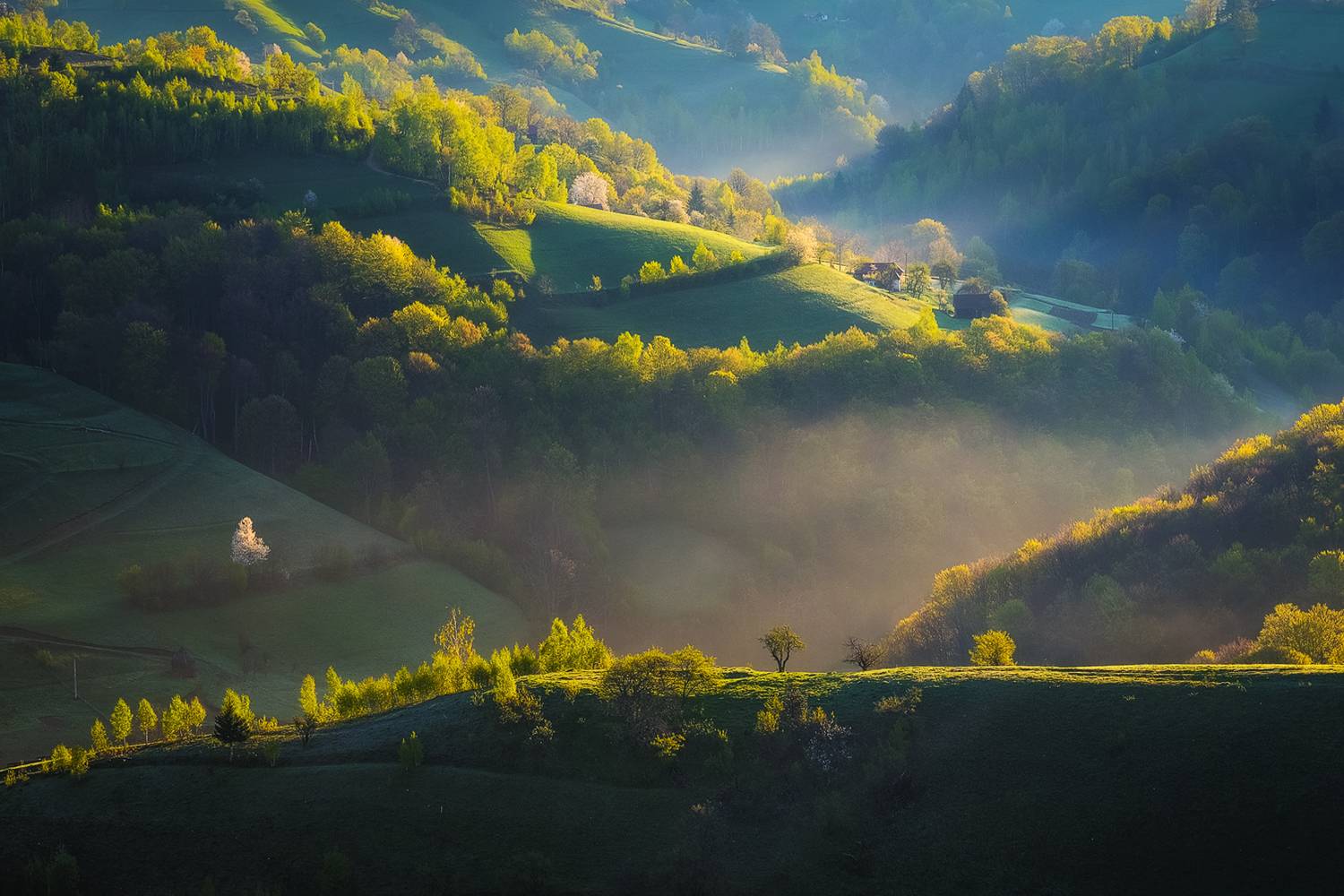 2016. Автор: Stefan Chirobocea , Stefan Chirobocea