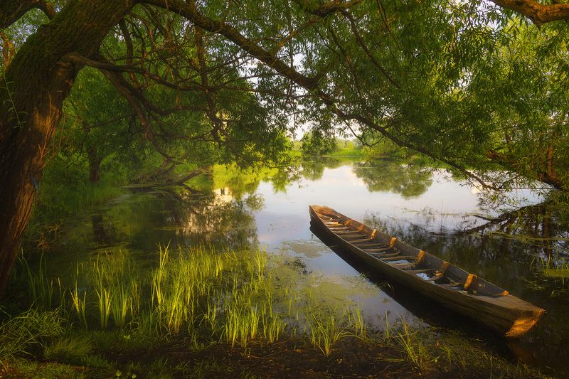 Нерль в  июнеphoto preview