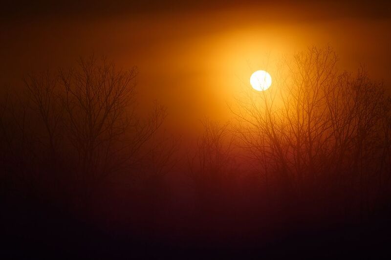 2024-09-27photo preview