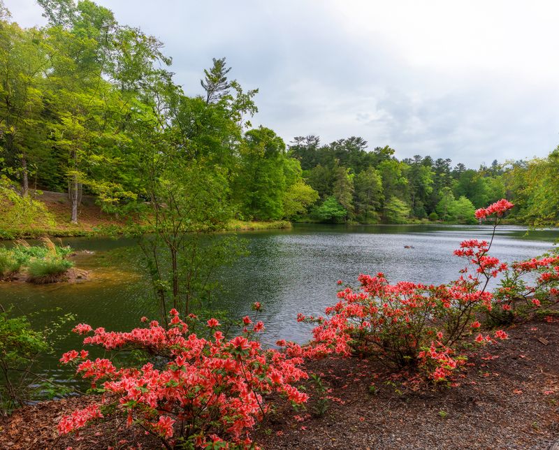 В горах Аппалачиphoto preview