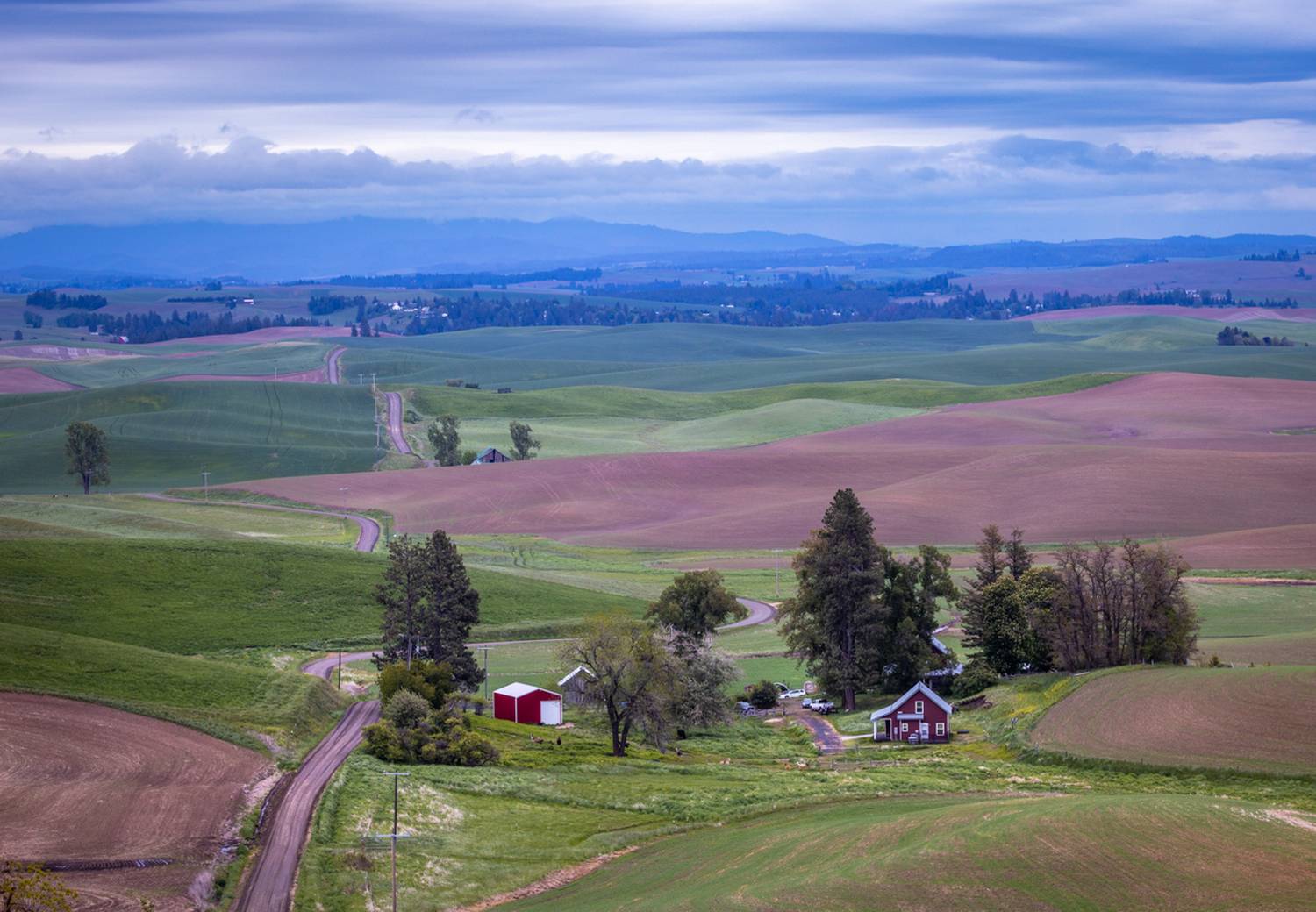 , Лозицкий Александр