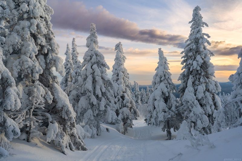 Зима на Таганаеphoto preview