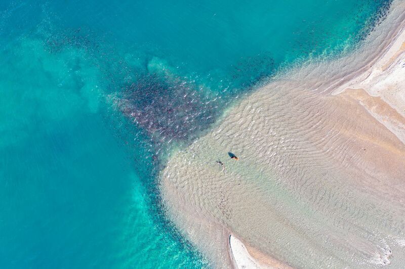 камчатка медведь дрон озеро рыбалка пейзаж Тайны Курильского озераphoto preview