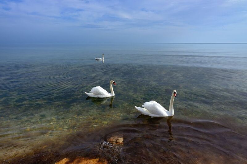 Дневной дозорphoto preview