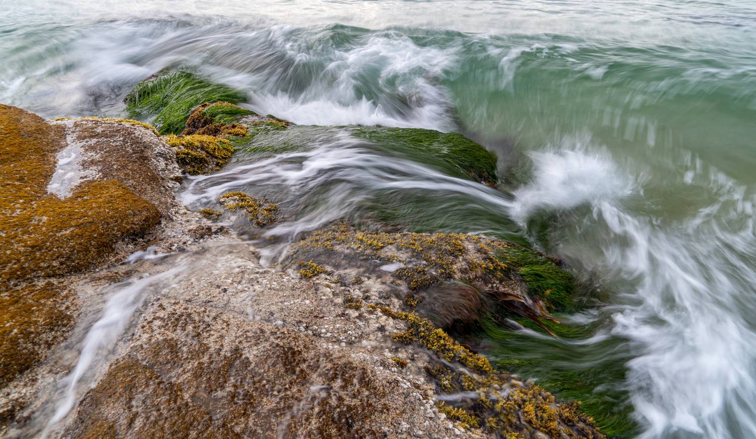 Море волнуется. Автор: Гаврилов Юрий Россия, Приморский край, Японское море, Лазовский заповедник, бухта Тачингоуза, волны, Гаврилов Юрий