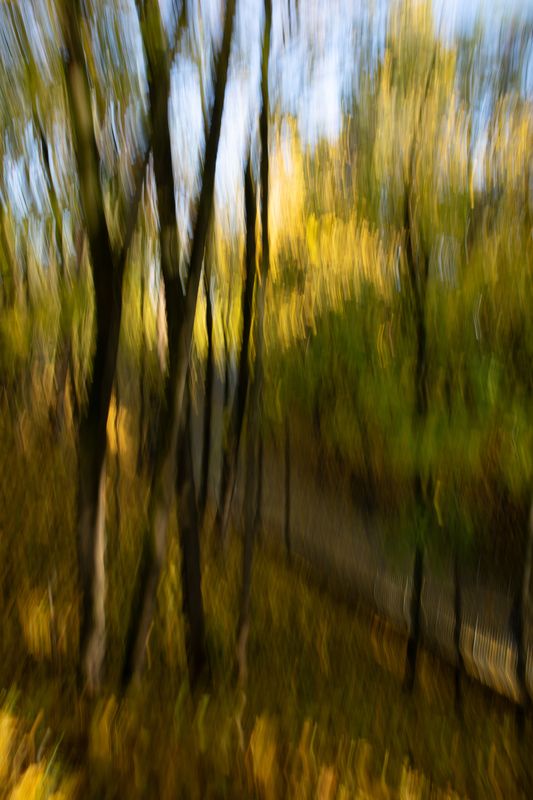 Осеньphoto preview