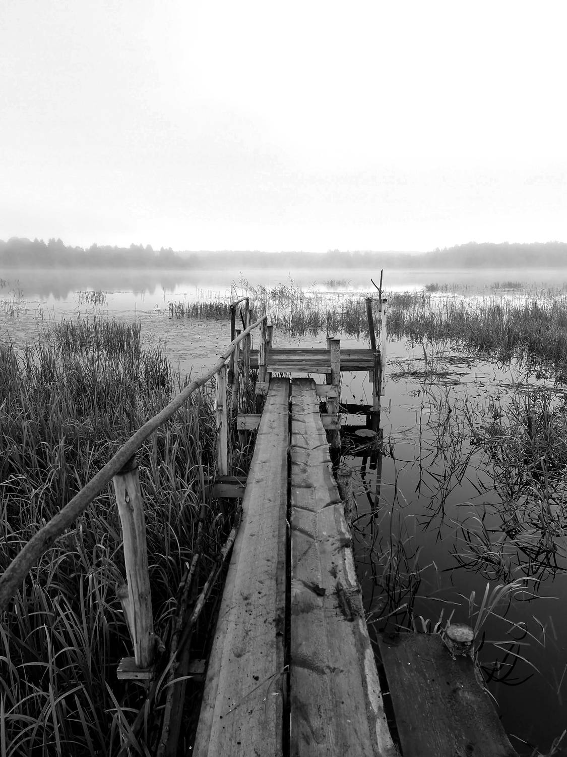 , Angelica Medvedeva