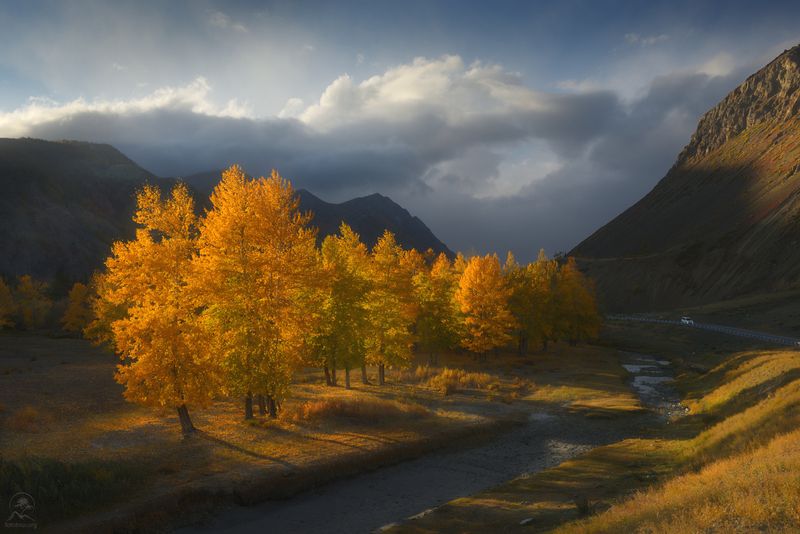 алтай, фототур по алтаю, осень, горы, горный алтай, республика алтай, чуйский тракт, фототур на алтай, осенний фототур на алтай На Чуйском трактеphoto preview