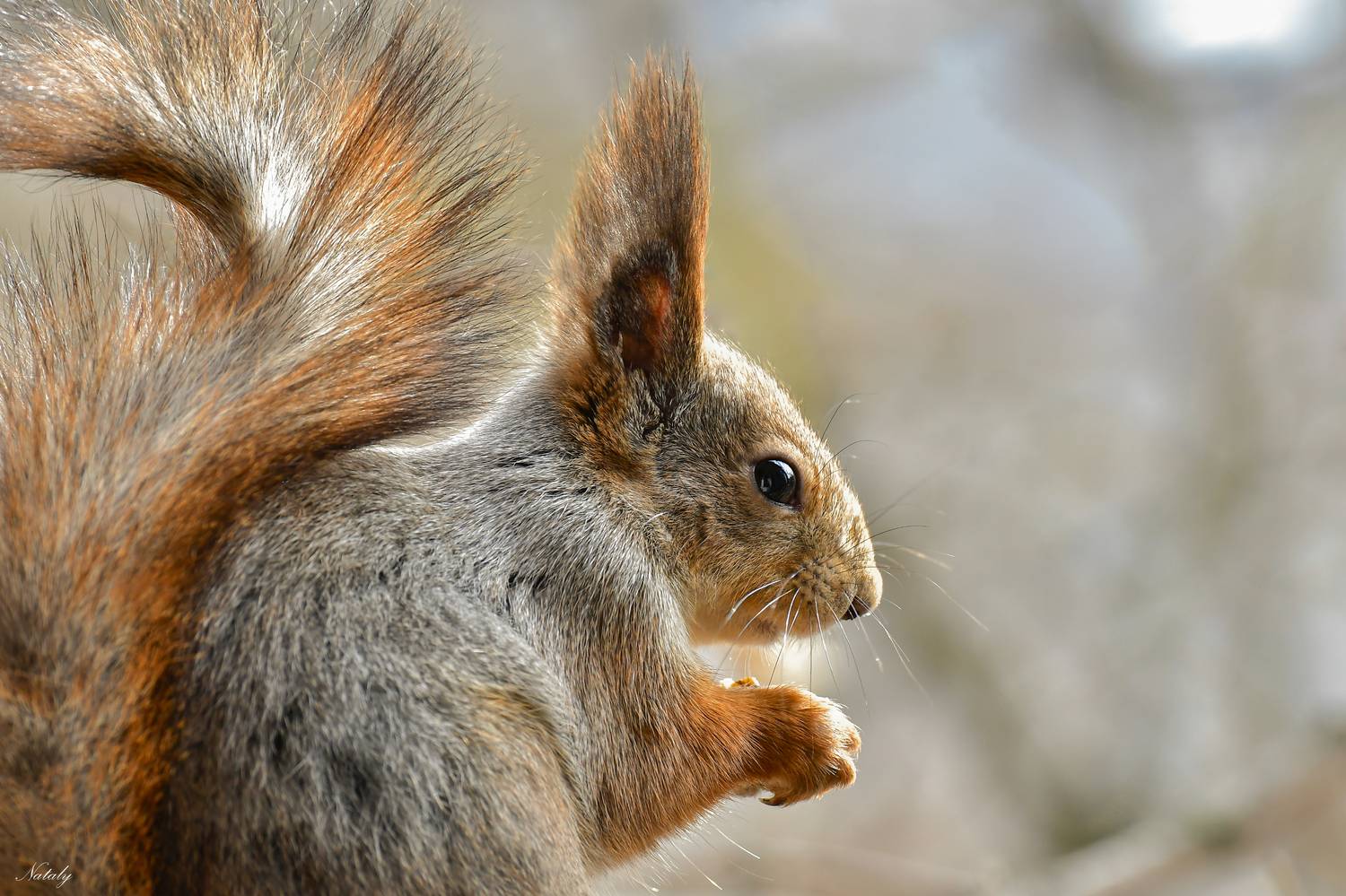 , Наталья Екимова