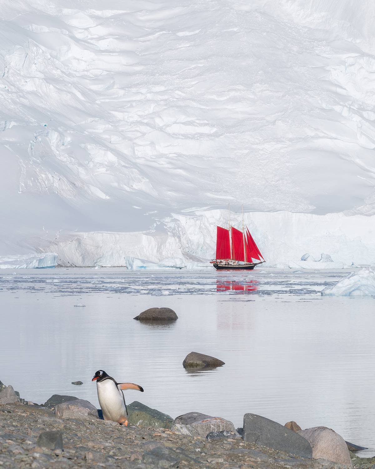 Antarctica, Даниил Коржонов