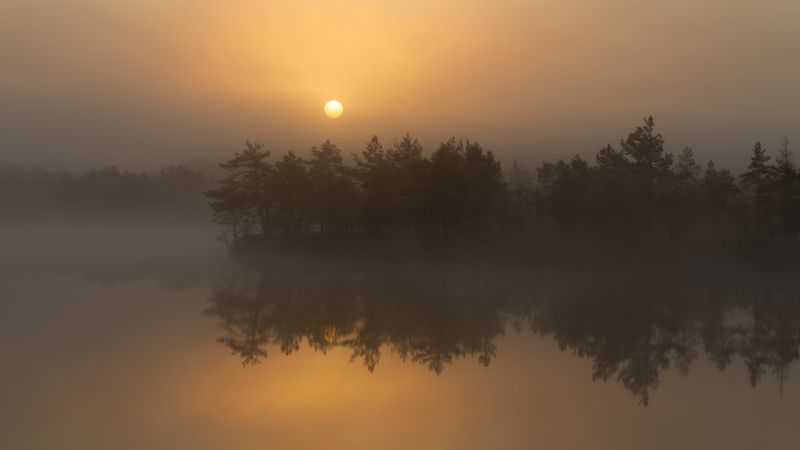 Дымное солнцеphoto preview