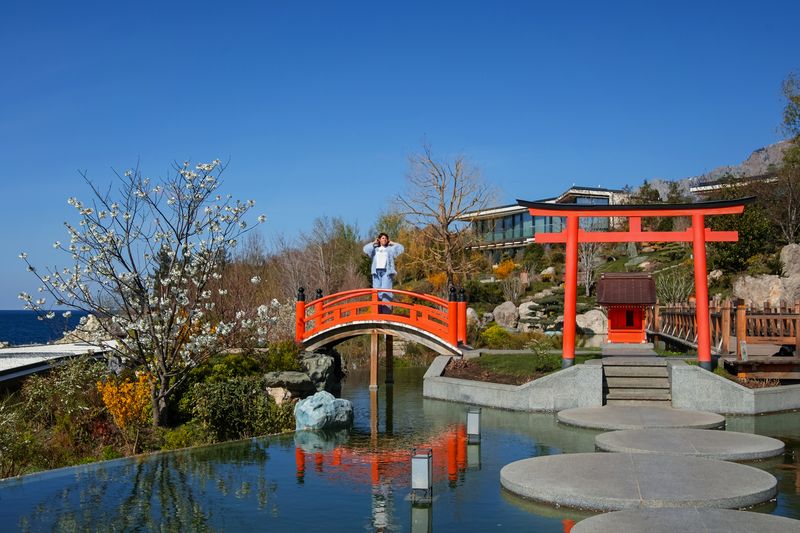 sigma sd quattro *****photo preview